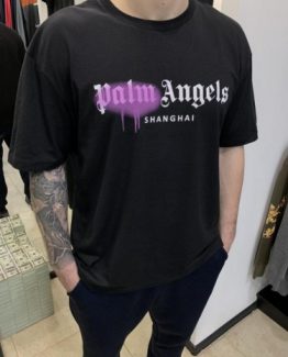Мужская футболка PALM ANGELS черная 000.5122 фото